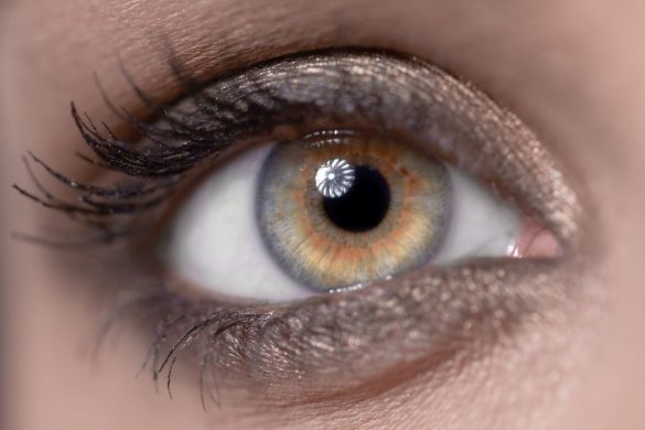 Yeux Hazel marron